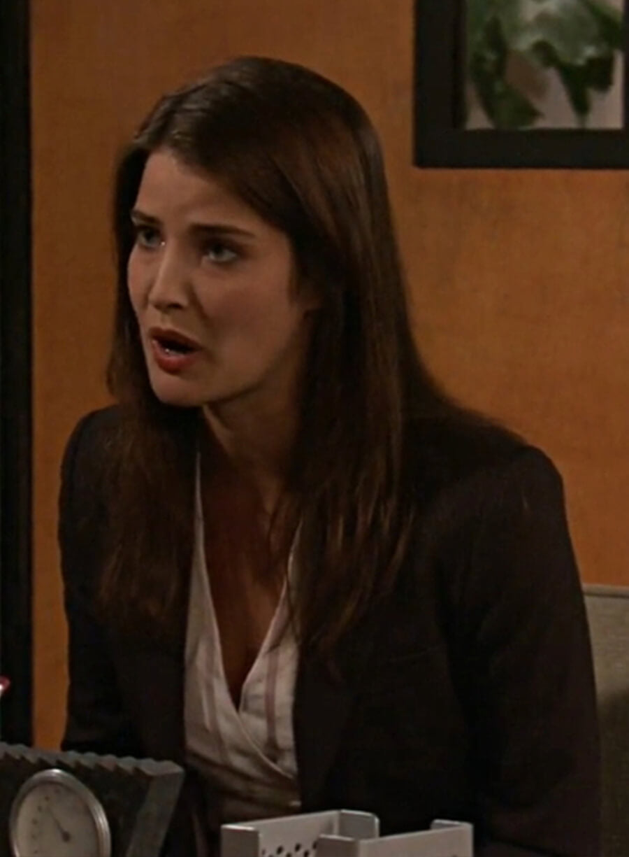 Harpoon Robin Scherbatsky Inspired Brown Leather Jacket - How I met Your Mother S01 Style