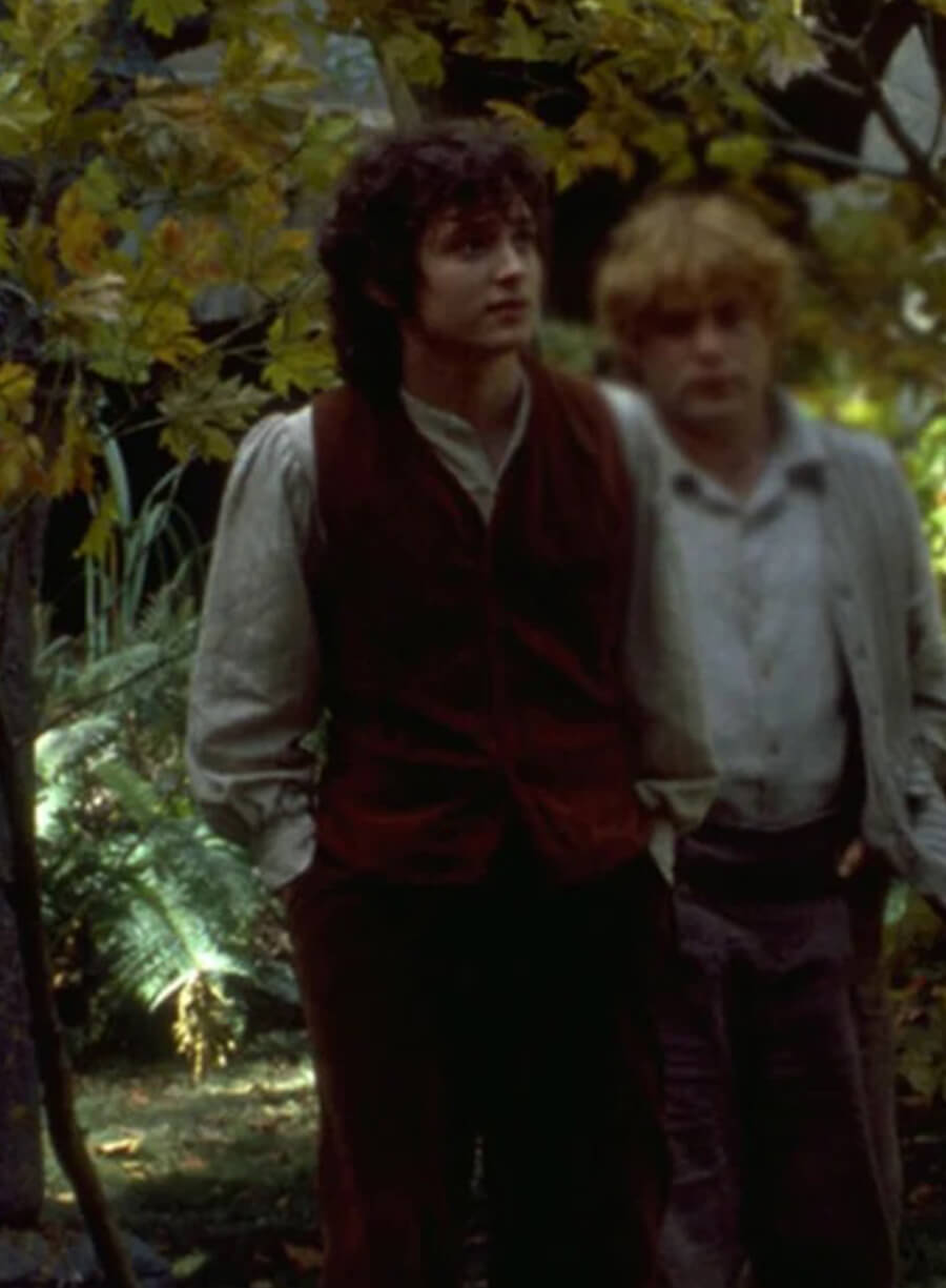 Harpoon Frodo Inspired Brown Leather Jacket - The Lord of the Rings: The Fellowship of the Ring Style