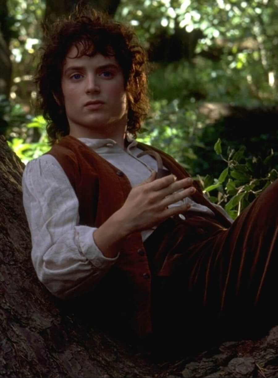 Harpoon Frodo Inspired Brown Leather Jacket - The Lord of the Rings: The Fellowship of the Ring Style