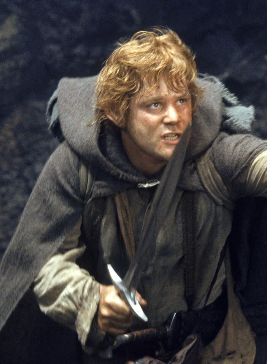 Harpoon Frodo Inspired Grey Hooded Jacket - The Lord of the Rings: The Fellowship of the Ring Style