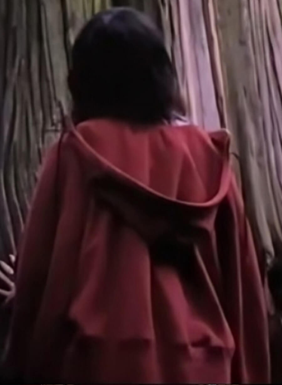 Harpoon ridely Inspired Red Hooded Jacket - Death of a Unicorn 2025 Style